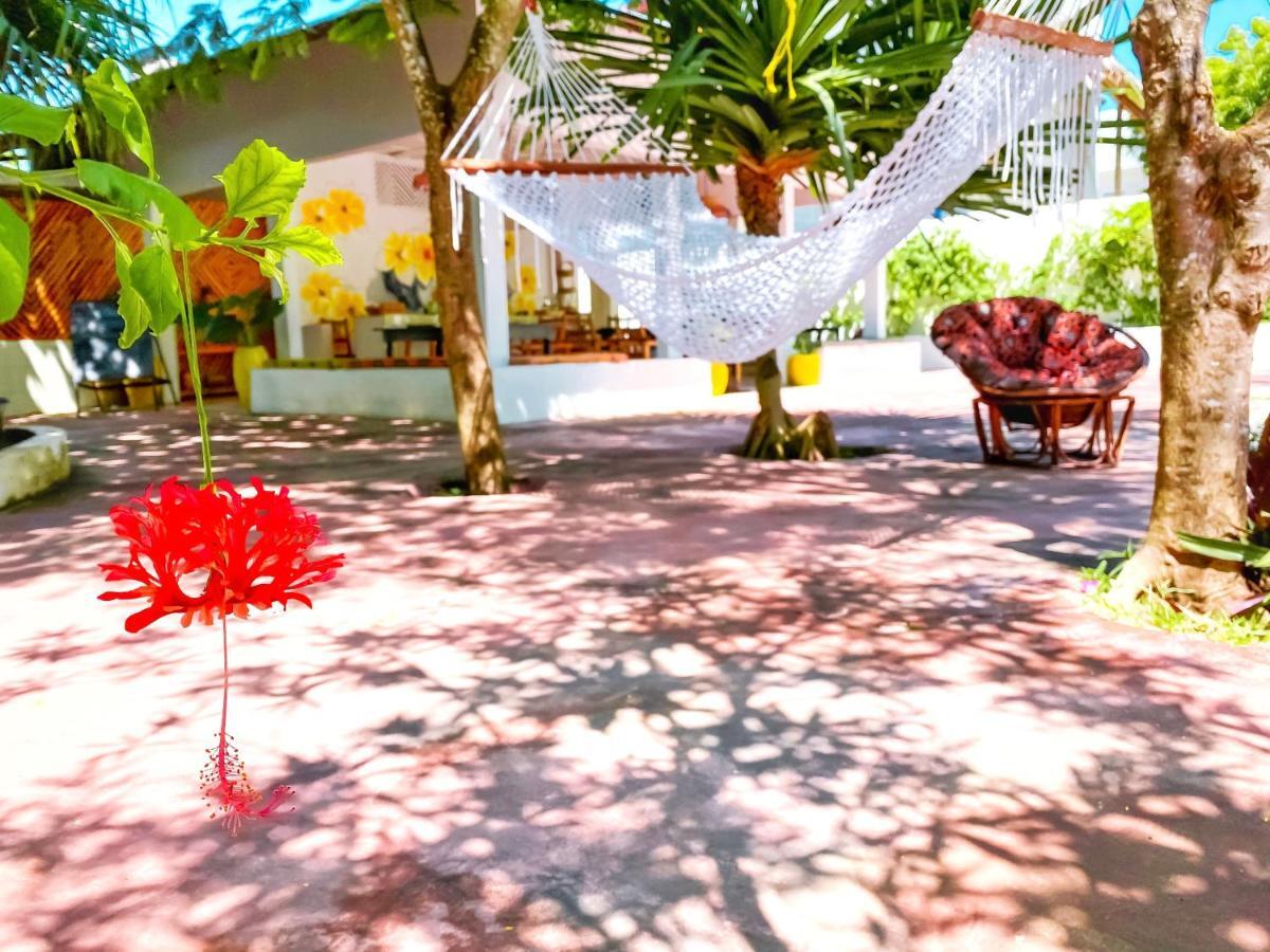 Papaya Guest House Nungwi Eksteriør billede